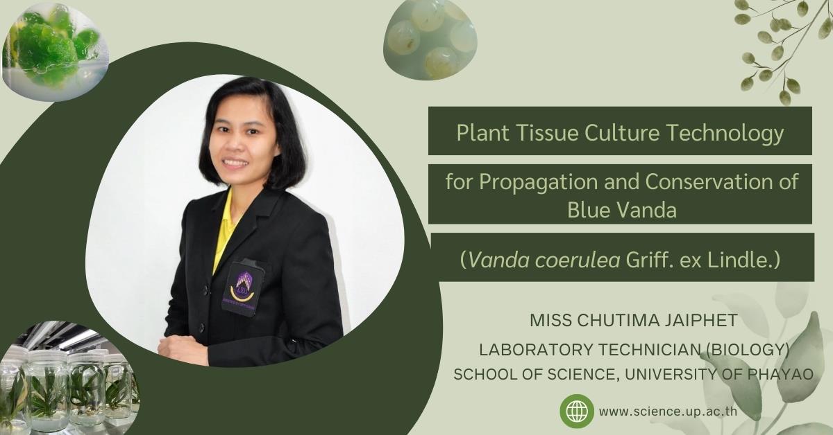 Plant Tissue Culture Technology for Propagation and Conservation of Blue Vanda (Vanda coerulea Griff. ex Lindle.)